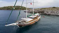 contact-yachts-ecce-navigo-049