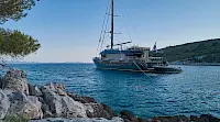 rara_avis_anchored